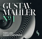 Mahler: Symphony No. 1 in D / Vienna Sym./ Fabio Luisi – Vienna Sym. (2 LPs)
