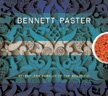 Bennett Paster – Relentless Pursuit of the Beautiful – self-released
