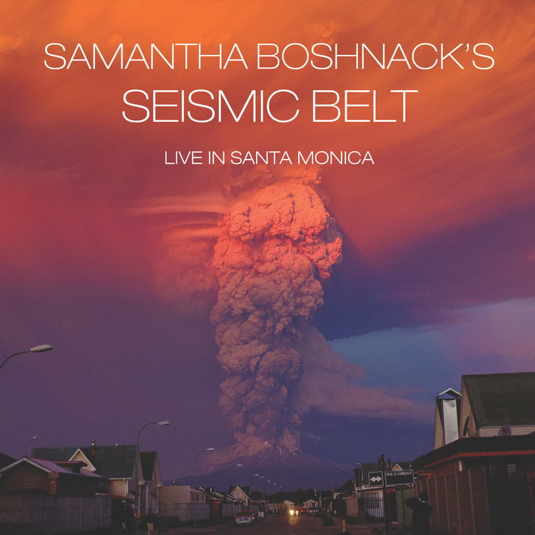 Boshnack-Seismic Belt, Album Cover