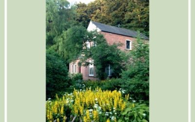 Eduard Erdmann in Recital, 1949-1958 – Forgotten Records