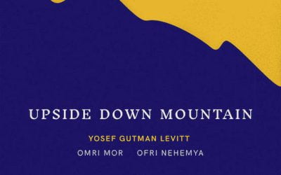Yosef Gutman Levitt – Upside Down Mountain