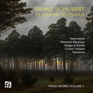 Feltsman Plays Schubert, Vol. 7 – Impromptus, Variations, Fantasies – Nimbus
